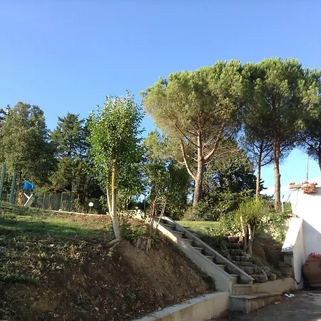 Abbraccio Σιένα